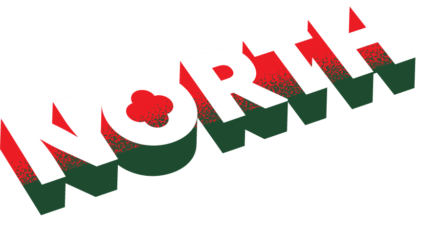 North icon