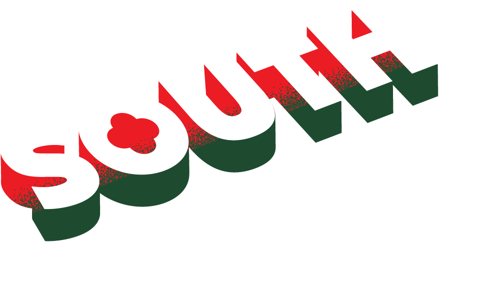 South icon